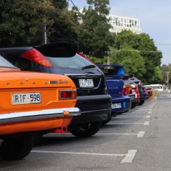 mystery cruise