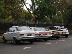 mystery cruise