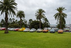 show n shine 2025