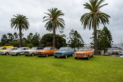 show n shine 2025