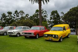 show n shine 2025