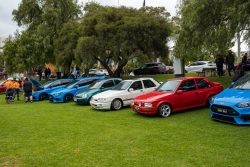 show n shine 2025