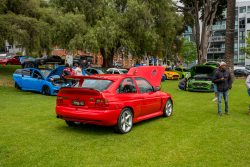 show n shine 2025