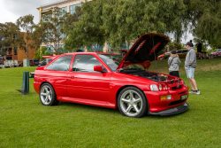 show n shine 2025