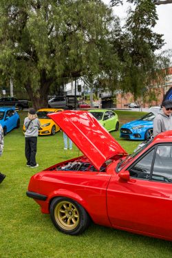 show n shine 2025