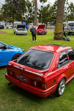 show n shine 2025