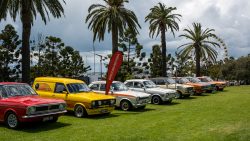 show n shine 2025