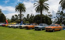 show n shine 2025