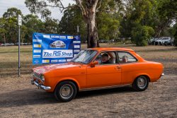 small ford sunday 2025
