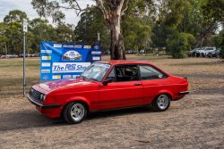 small ford sunday 2025