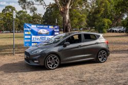 small ford sunday 2025