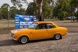 small ford sunday 2025
