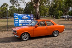 small ford sunday 2025