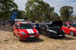 small ford sunday 2025