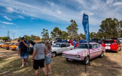 small ford sunday 2025