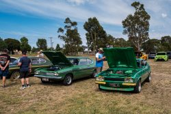 small ford sunday 2025