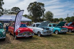 small ford sunday 2025