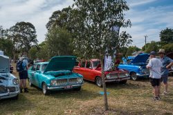 small ford sunday 2025