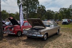 small ford sunday 2025