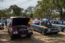 small ford sunday 2025