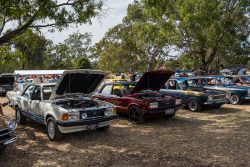 small ford sunday 2025