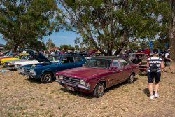 small ford sunday 2025