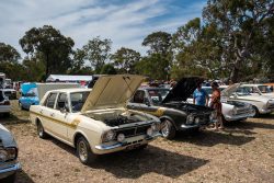 small ford sunday 2025