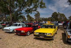 small ford sunday 2025