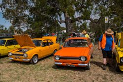 small ford sunday 2025