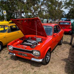 small ford sunday 2025