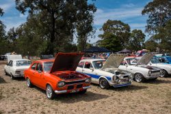small ford sunday 2025