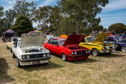 small ford sunday 2025