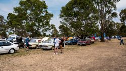 small ford sunday 2025
