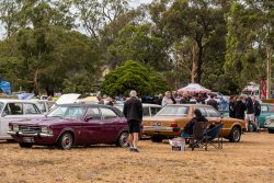 small ford sunday 2026
