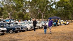 small ford sunday 2026