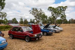 small ford sunday 2026