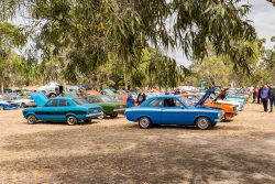 small ford sunday 2026