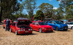 small ford sunday 2026